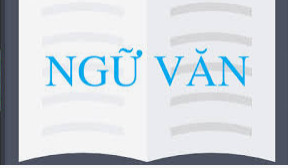 ĐỀ THI HỌC SINH GIỎI - MÔN NGỮ VĂN  LỚP 7